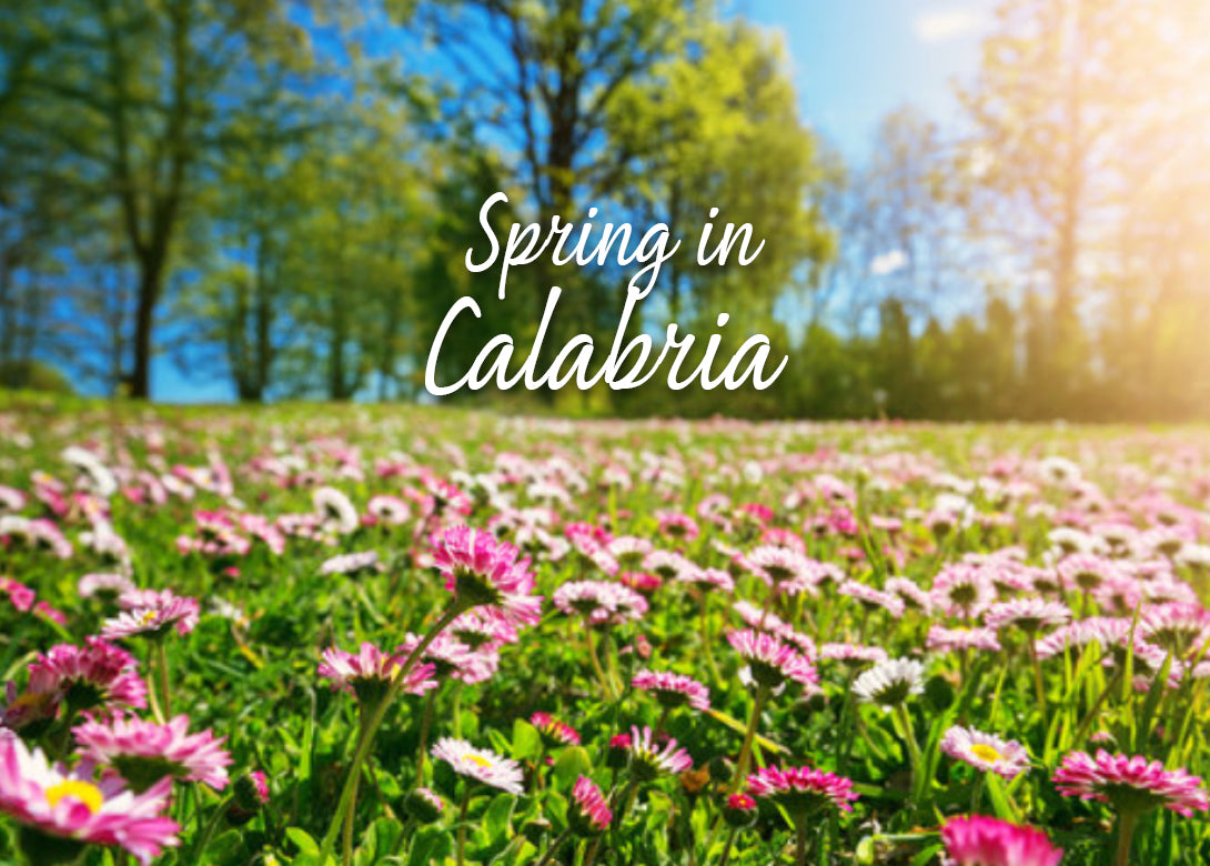 Spring Calu Spring in Calabria